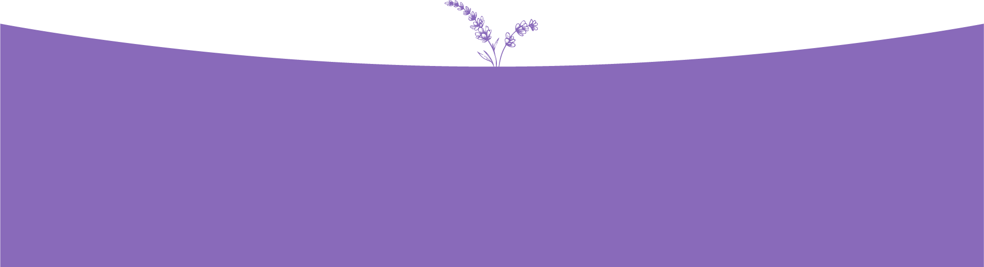 Fondo morado